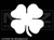 100 - 4 Leaf Clover