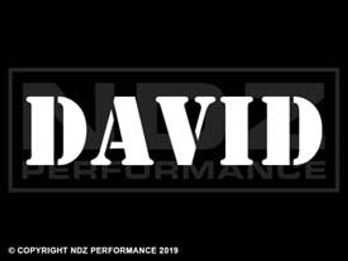 1028 - Names David