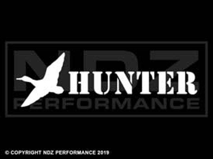 1295 - Duck Hunter 11