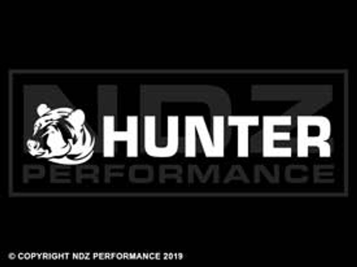 1232 - Bear Hunter 3