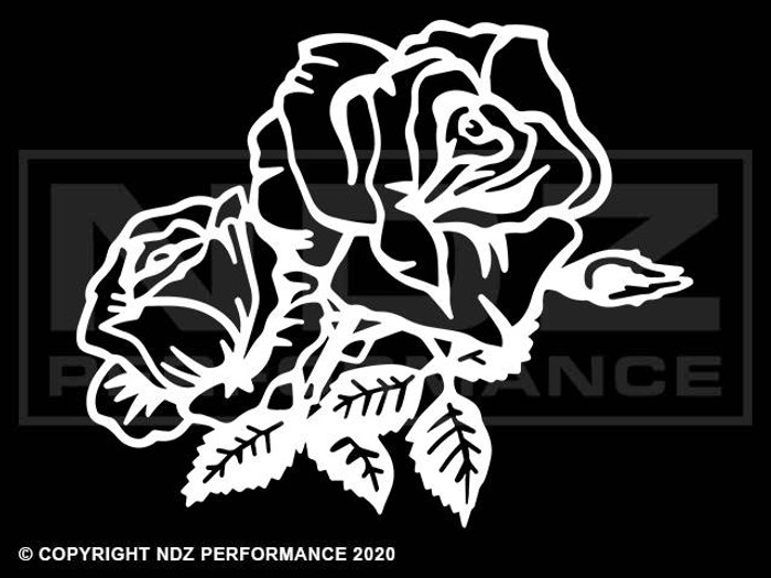 2082 - Two Roses