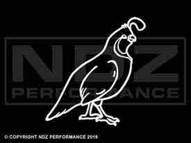 1991 - Pheasant