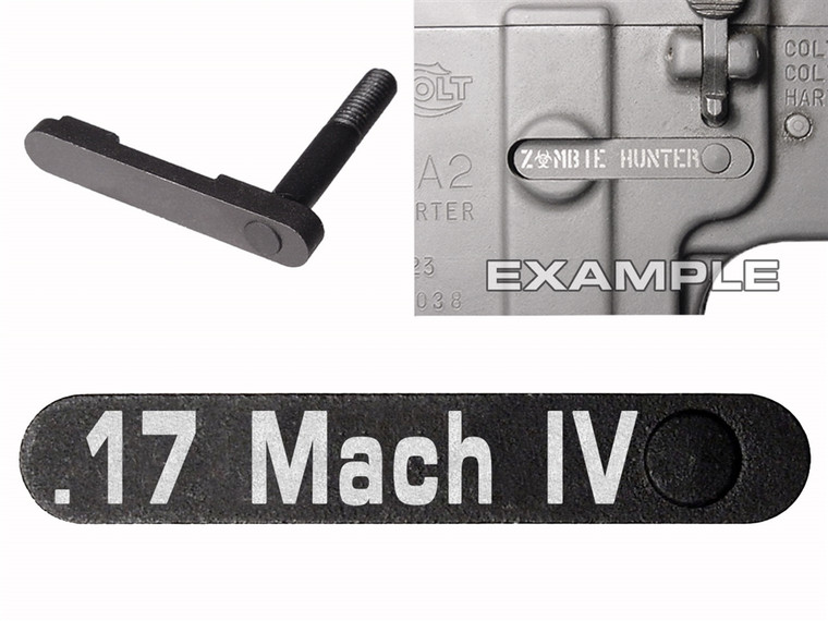 NDZ for AR-15 SW 15-22 Black Magazine Catch 17 MACH IV