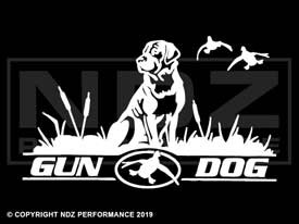 212 - Gun Dog Ducks