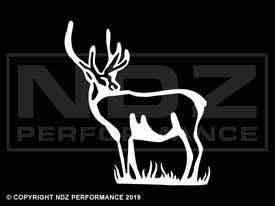 1924 - Deer Standing