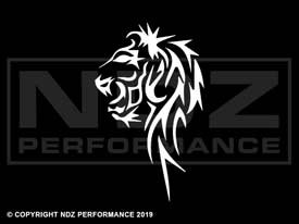 875 - Tribal Lion