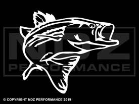 157 - Fish Bass