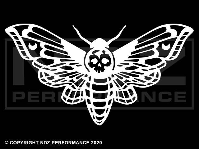 2075 - Hawk Moth
