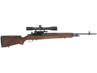 Springfield M1A