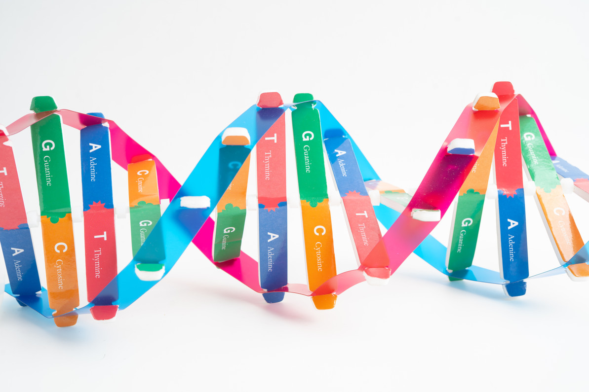 What Is Metagenomics?