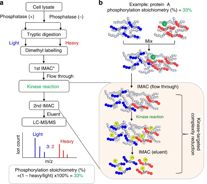 41467-2015-article-bfncomms7622-fig1-html.jpg