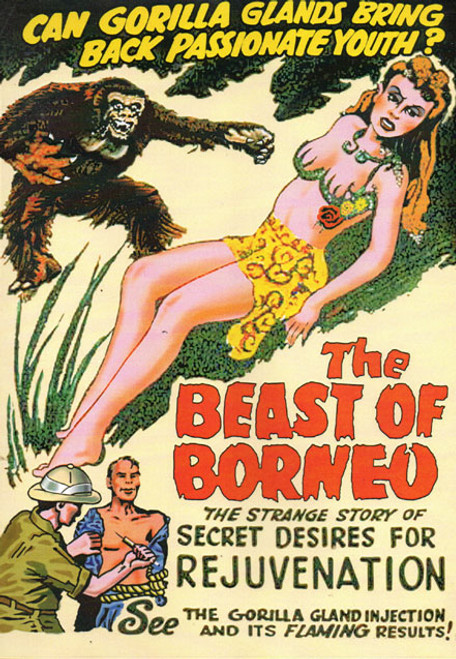 BEAST OF BORNEO (1934) - Used DVD