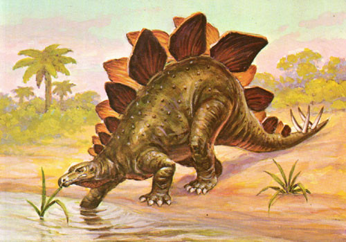 STEGOSAURUS VINTAGE POSTCARD - Collectible STEGOSAURUS VINTAGE POSTCARD - Collectible