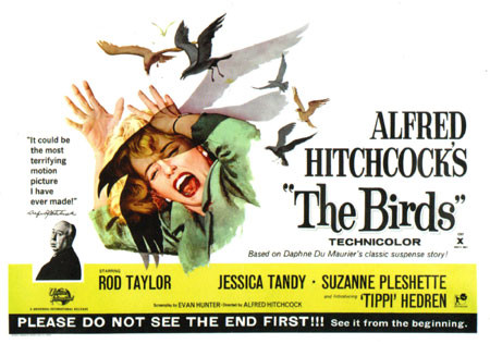 BIRDS, THE (1963) - Postcard