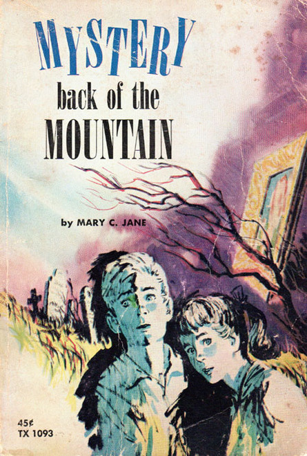 MYSTERY BACK OF THE MOUNTAIN - Classic Scholastic Book