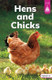 Hens and Chicks View Product Image