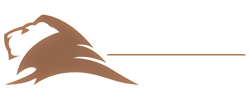 Lionheart Industries USA