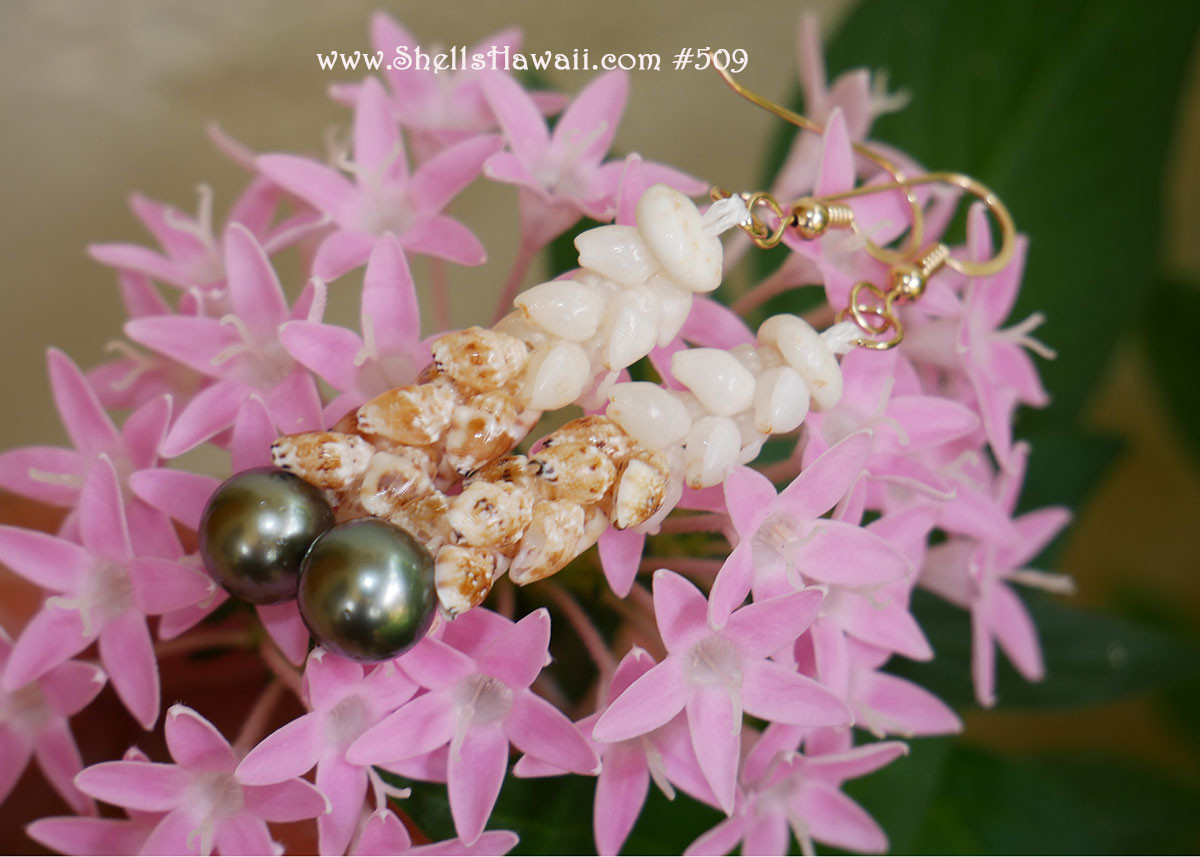 Niihau Momi & Tahitian pearl earrings ニイハウシェルピアス#509