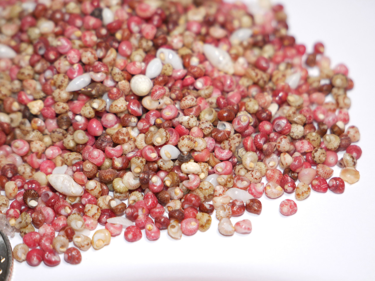 300 pcs pink, green, red, burgundy, natural Kahelelani loose