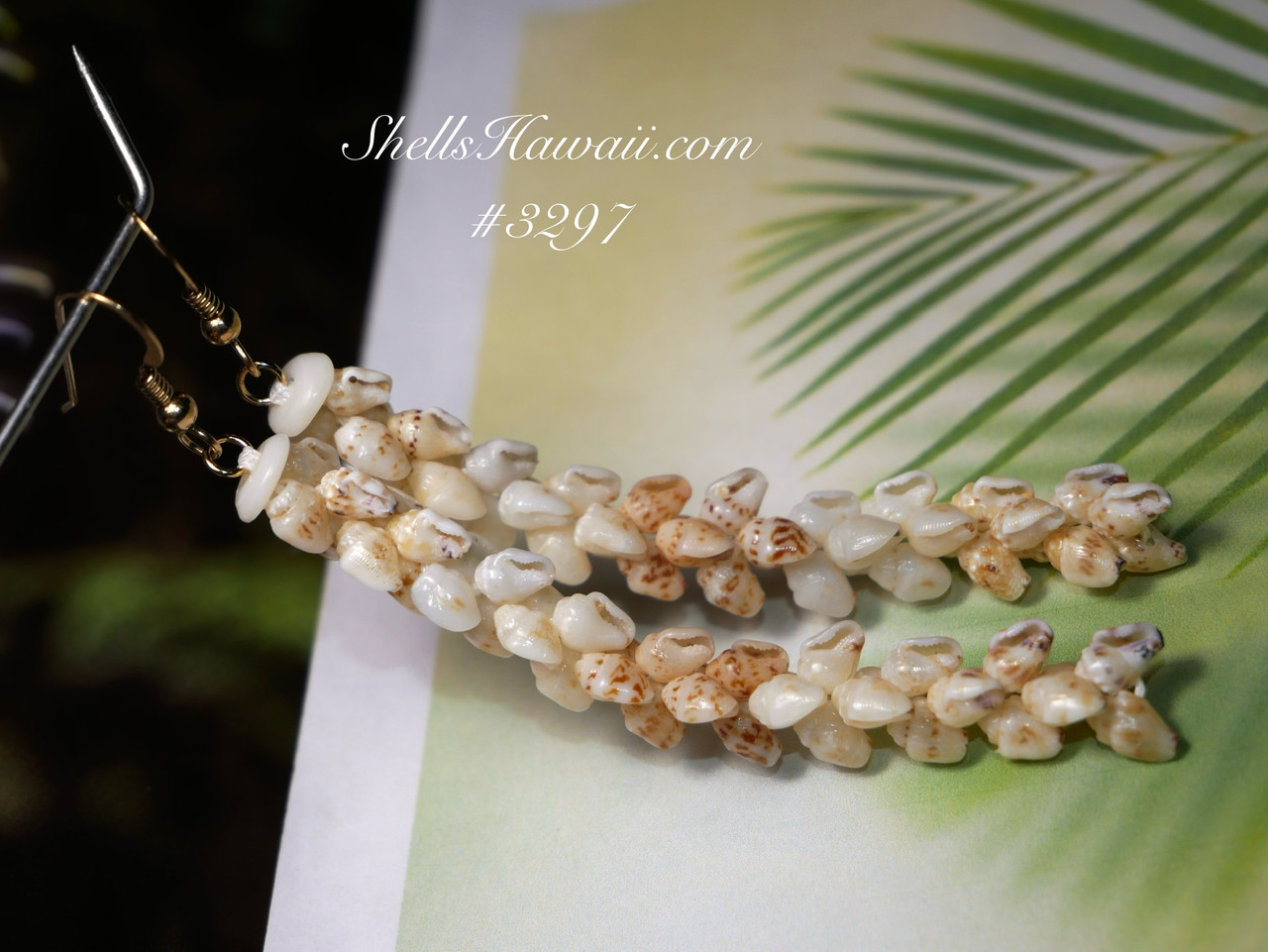 3″ Niʻihau Shell Earrings Made of Momi Shells — Pikake Style #3297
