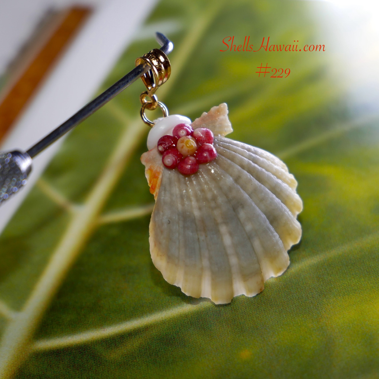 26 mm light yellow, green, pink, gray Sunrise shell with green