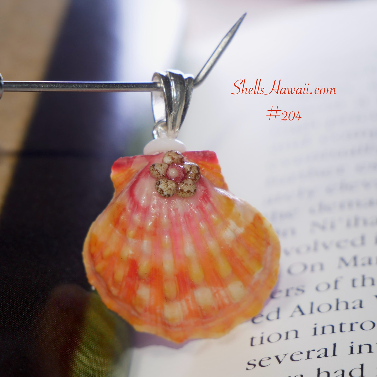 Pink and Yellow Hawaiian Sunrise Shell Pendant with Authentic