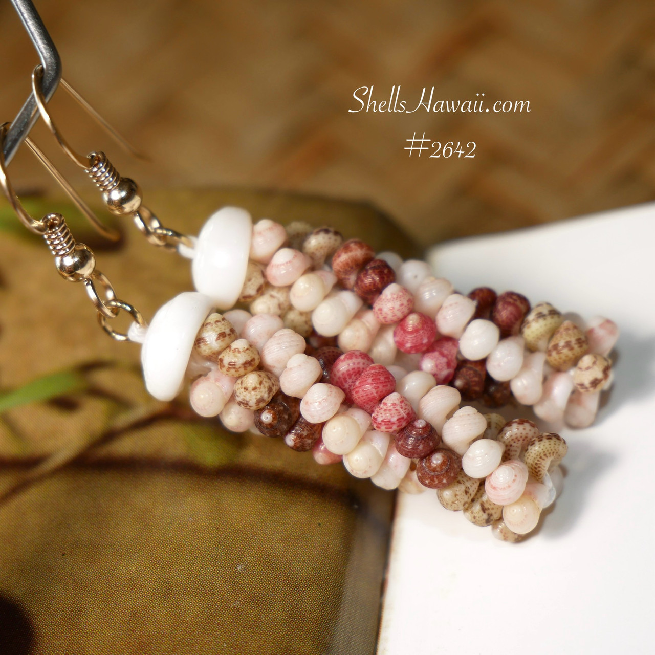 P1400801__84958.1759706898.jpg?c=2