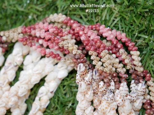 Option 1 (Niʻihau shell lei):
50″ Niʻihau shell lei—Triple-strand Kipona style with lustrous Momi and Kahelelani shells, precision-crafted and flowing Option 1 (Niʻihau shell lei):
50″ Niʻihau shell lei—Triple-strand Kipona style with lustrous Momi and Kahelelani shells, precision-crafted and flowing