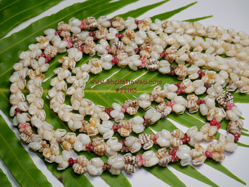 NINL_22165 NINL_22165