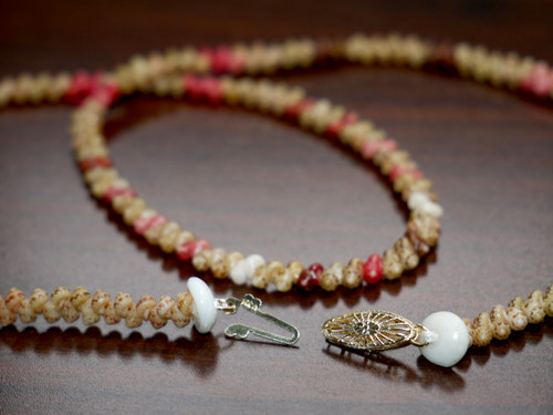 19 1/4” single strand Kahelelani shell lei/Niihau shell necklace #924 19 1/4” single strand Kahelelani shell lei/Niihau shell necklace #924