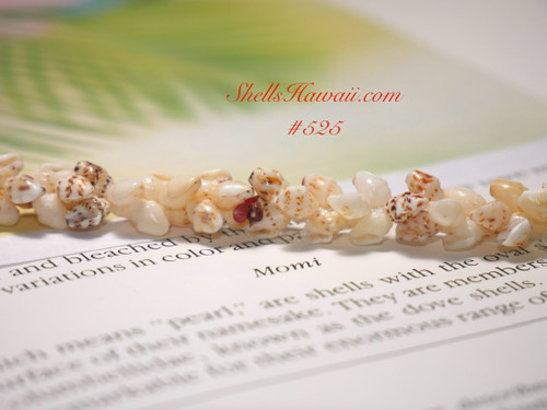 8” yellow hue Momi & red, black Kahelelani shells bracelet. Made with aloha with Hawaiian seashells from Niihau...by Janjira! #525 8” yellow hue Momi & red, black Kahelelani shells bracelet. Made with aloha with Hawaiian seashells from Niihau...by Janjira! #525