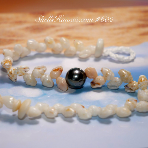 7 1/2" white, yellow, blue, purple Momi shells with Tahitian pearl centerpiece. Niihau shell bracelet #602