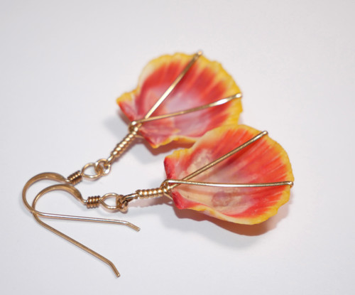 1 1/4" beautiful pumpkin yellow and pink Sunrise shell earrings from Kauai! #2302