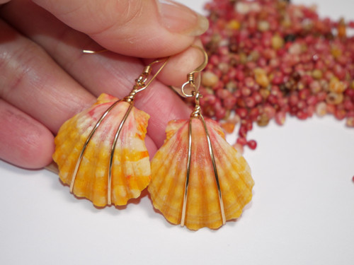 1 1/4" beautiful pumpkin yellow and pink Sunrise shell earrings from Kauai! #2306