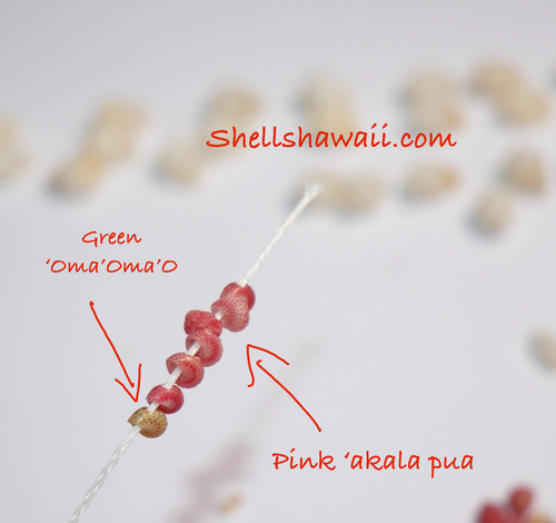 #2099
Close-up of size 11 pink Kahelelani shells strung on thread with green ʻŌmaʻomaʻo and pink ʻĀkala Pua color examples. This photo shows how these tiny shells can be poked, strung, and used for fine Niʻihau shell jewelry designs.