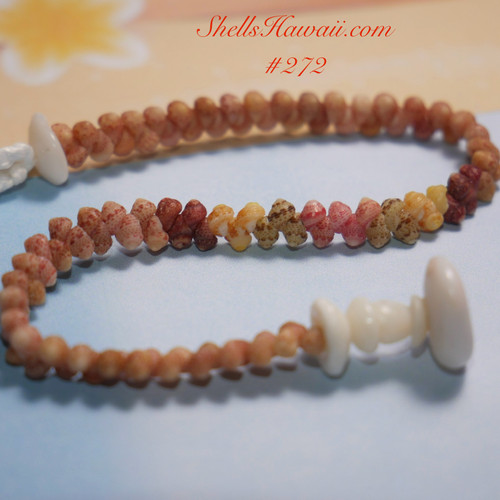 7½" Kahelelani Shell Bracelet – Herringbone Style #272 7½" Kahelelani Shell Bracelet – Herringbone Style #272