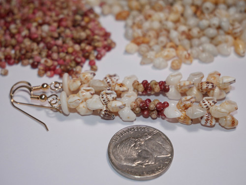 2½″ Niʻihau Kipona style earrings handcrafted with yellow, black-spotted, blue, and white Momi shells accented by burgundy and green Kahelelani. Bold color mix for a striking island statement. 2½″ Niʻihau Kipona style earrings handcrafted with yellow, black-spotted, blue, and white Momi shells accented by burgundy and green Kahelelani. Bold color mix for a striking island statement.