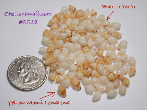 Option 1 (Niʻihau shell supply):
100 Niihau shell supply of pearl-white and yellow Lenalena Momi shells, mixed sizes, un-poked with natural luster