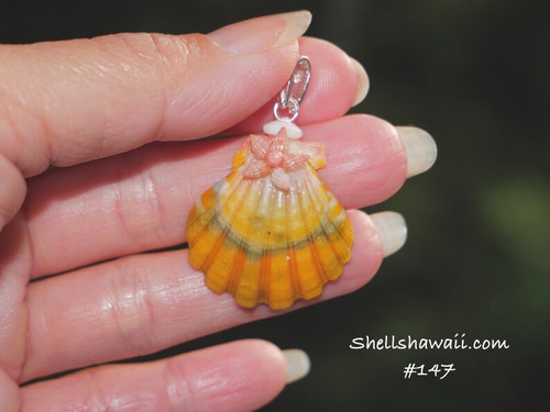 26 mm pumpkin yellow, green orange stripe Sunrise shell with Miter shells flower pendant #147 26 mm pumpkin yellow, green orange stripe Sunrise shell with Miter shells flower pendant #147
