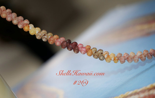 7 3/4” Single strand Kahelelani shell bracelet #269