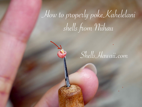 Poking tool for Niʻihau shell jewelry making, medium length Niʻihau poking tool used for Momi shells and Kahelelani shells