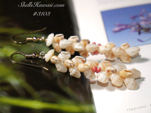 2" Niihau shell earrings made of Momi & pink Kahelelani shells #3103 2" Niihau shell earrings made of Momi & pink Kahelelani shells #3103