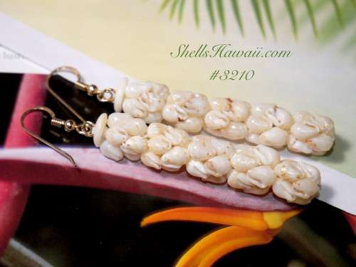 2 1/4" Niihau shell earrings made of Momi shells #3201