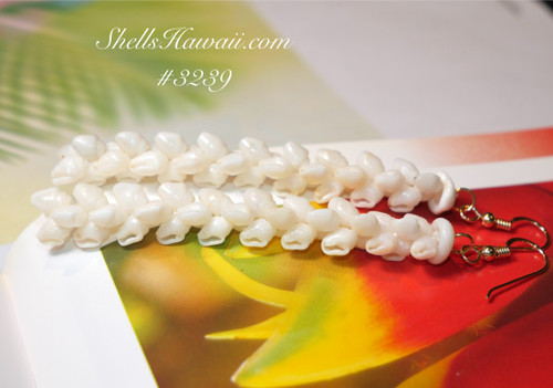3" Niihau shell earrings made of hard to find pearl white Momi shells #3239
