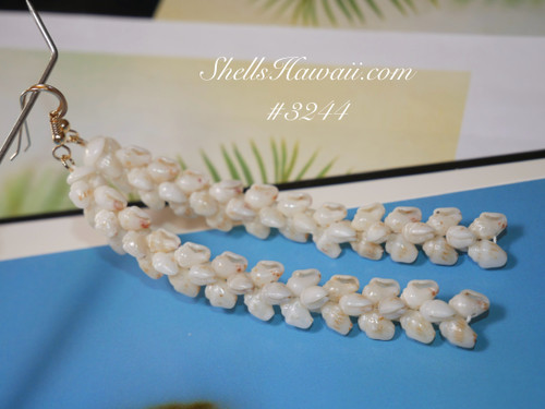 3 1/2" Niihau shell earrings made of Momi shells #3244
