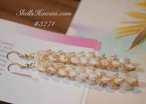 2 3/4 " Niihau shell earrings made of yellow and white Momi shells #3271