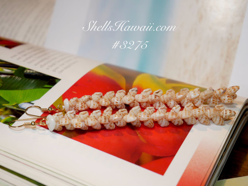 4 " Niihau shell earrings made of Momi shells #3275