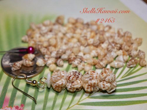 100 pcs mix color Niihau shell supply/ Momi shells #2465 100 pcs mix color Niihau shell supply/ Momi shells #2465