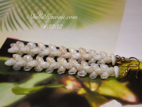 3 1/4" Niihau shell earrings made of blue uliuli Momi shells #3232