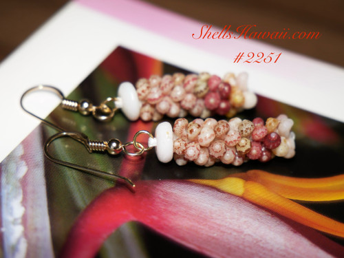 1 1/8" Kahelelani poepoe style shell earrings #2251 1 1/8" Kahelelani poepoe style shell earrings #2251